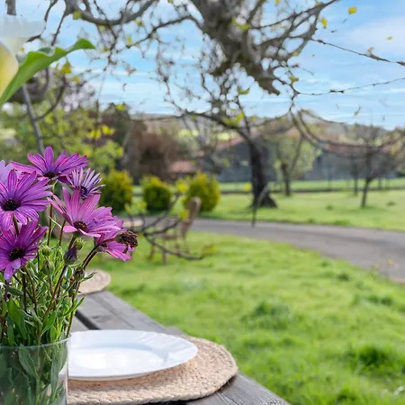 El Estanque 펜션 갈리자노